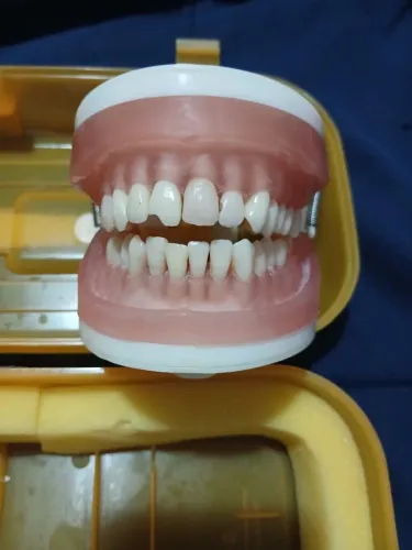 Manequim odontológico