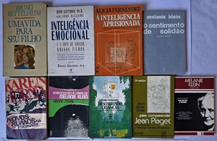 Livros de Psicanálise (Lote)