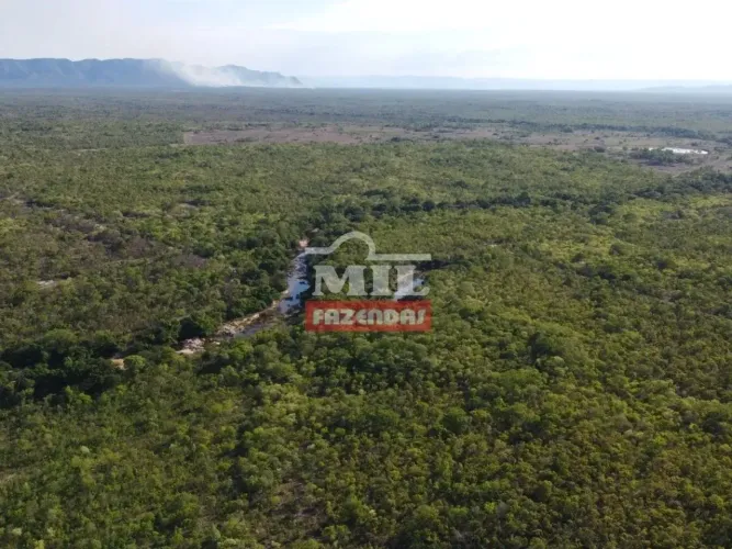 Fazenda Sul do Tocantins. (400 Alqueires) R$ 20 Mil/Alq Paranã - TO