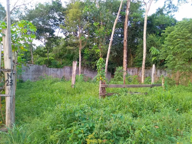 Terrenos