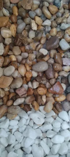 Pedras Naturais Para Jardim de Inverno