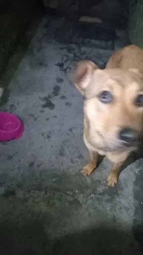 Não entrego