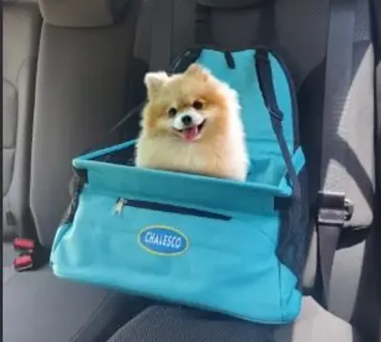 Cadeirinha pet CHALESCO