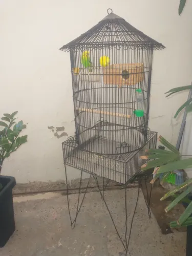 Vendo viveiro