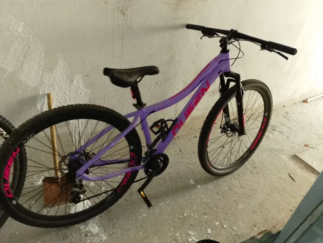 Bicicleta aro 29