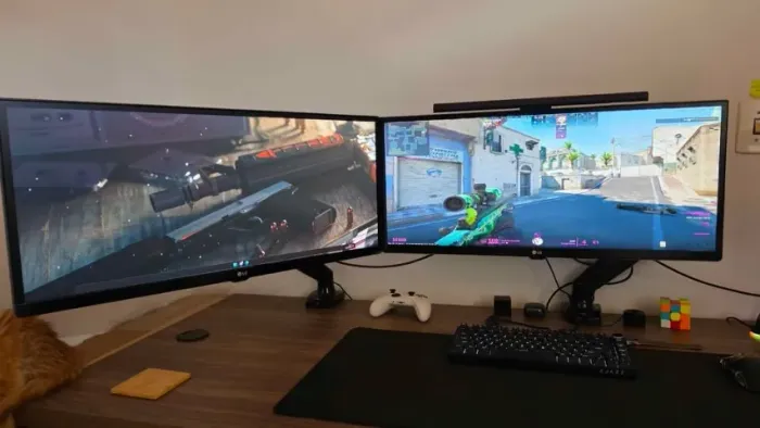 Monitor