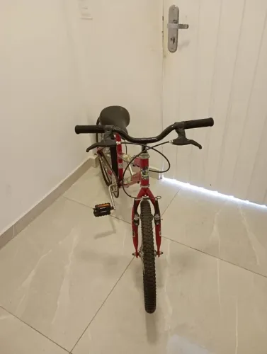 Bicicleta Aro 20 Infantil Masculino TYT (Vermelho com detalhes do Hulk)