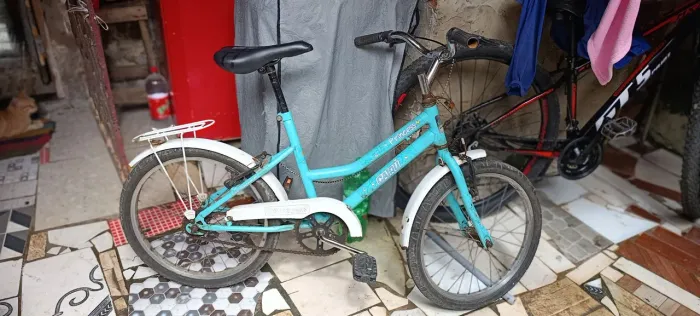 Bicicleta
