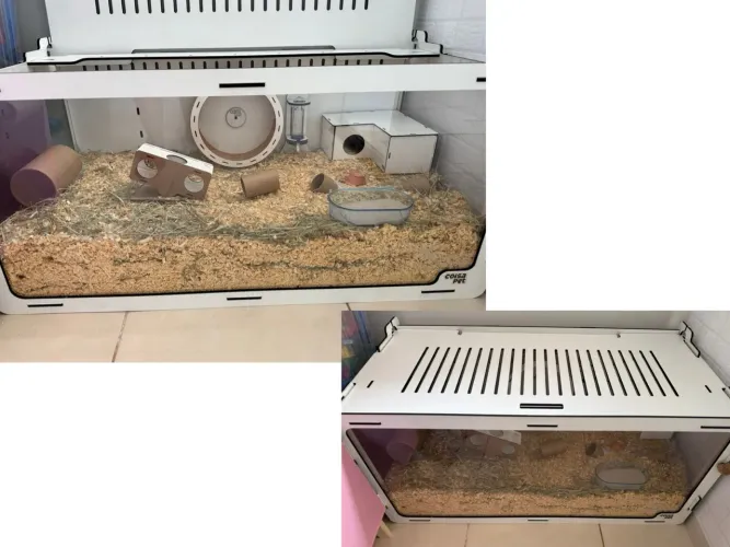 Terrário para roedores