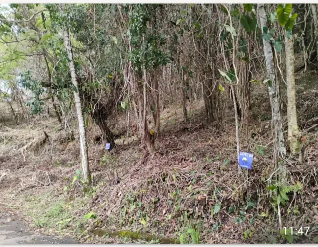 Imóvel para venda tem 376 metros quadrados em Frade (Cunhambebe) - Angra dos Reis - RJ