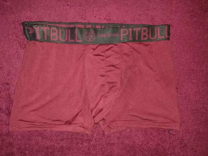 Cueca Pitbull American Masculina