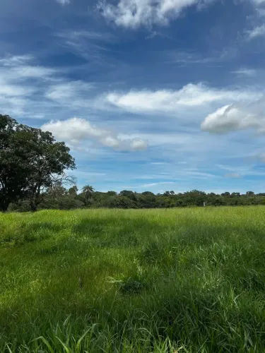 Vendo Terrenos para Comércios ou Indústrias na BR135 com Financiamento Facilitado