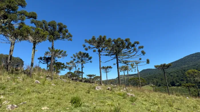 Terreno em Urubici em frente ao asfalto!