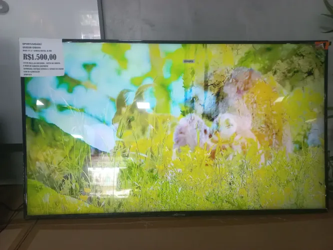 Tvs