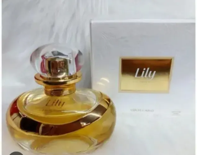 Kit lily