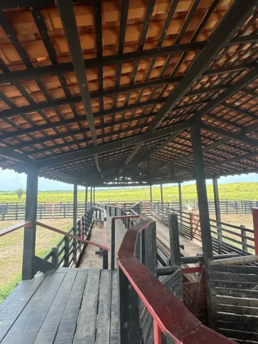 Fazenda Pronta com 829 Hectares / Oportunidade/ 12 mil o hectare