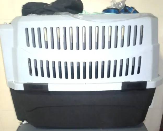 Caixa transporte pet N6 