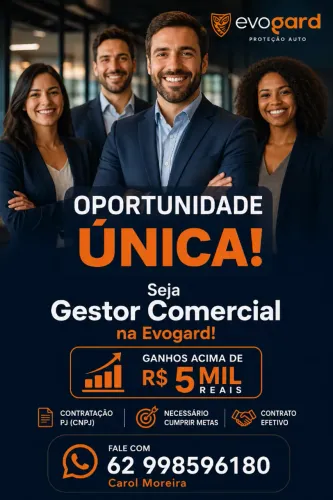 Gestor Comercial