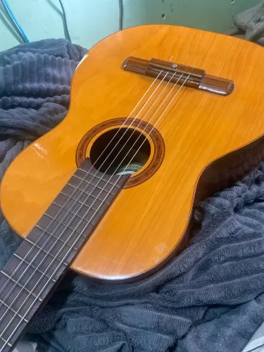 Violão Di Giorgio Modelo Signorina N 16 Ano 1999 Extra (Usado)