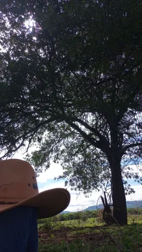Lindos terrenos para sítios