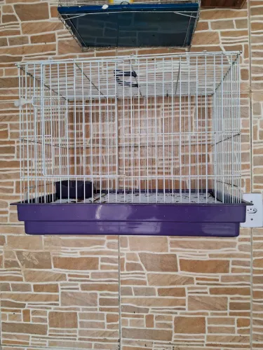 Gaiola Pet Roe vendo/troco