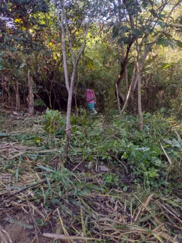 Terreno em Duas Barras - Municipio de Anchieta - ES