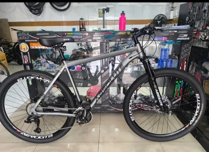 Bicicleta  aro 29 .cinza .