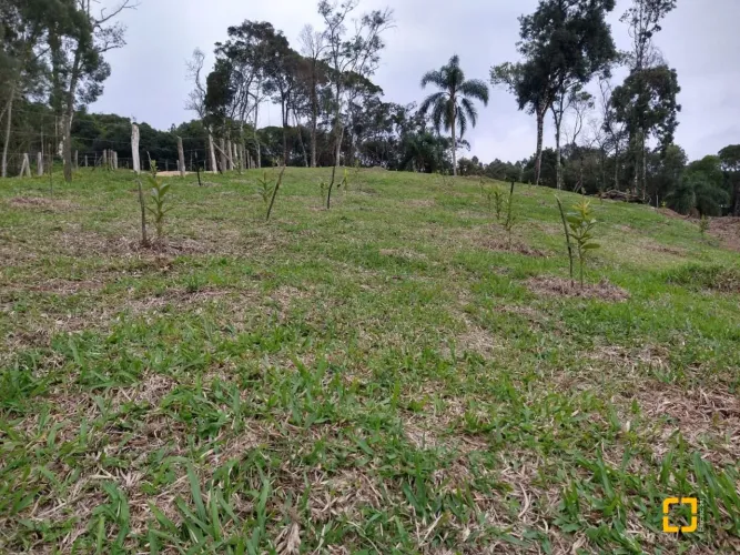 Brognoli Vende - Chácara em Anitápolis
