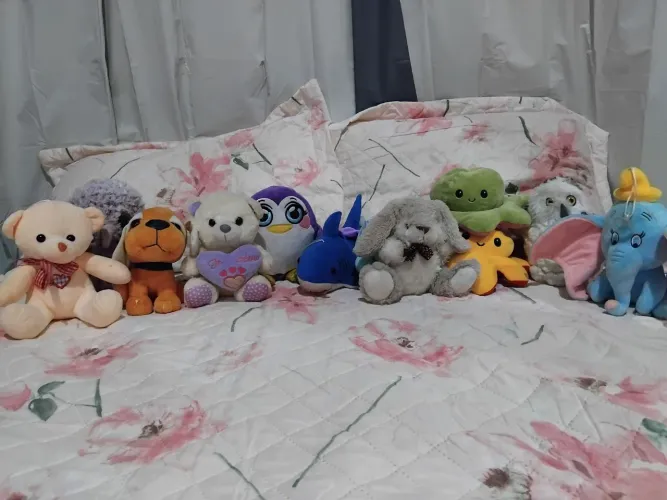 Pelúcias