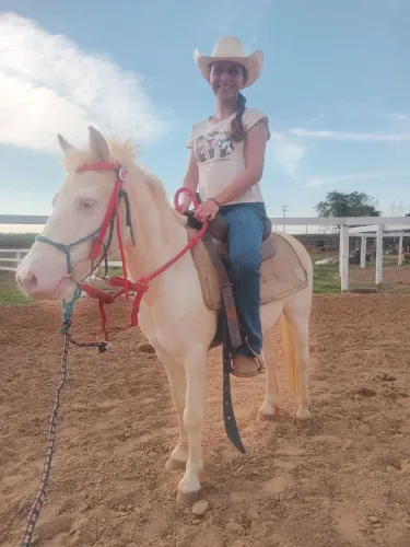 Vende se pônei olhos azuis palomino