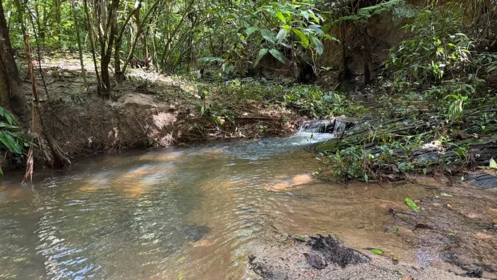 Chacara de 4.500mt com córrego no fundo última oportunidade!