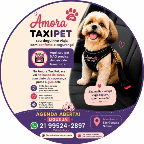 Amora TáXiPet Leva Doguinho!!!!!
