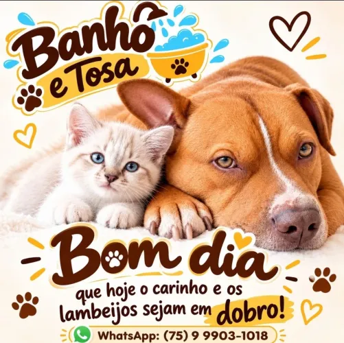 Banho e tosa/serviço a domicílio