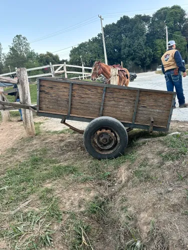 CARRETINHA PARA TRATOR