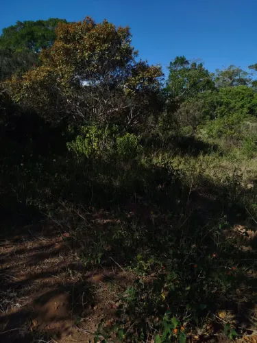 Fazenda 136 tarefas BONITO-Ba (Chapada Diamantina)