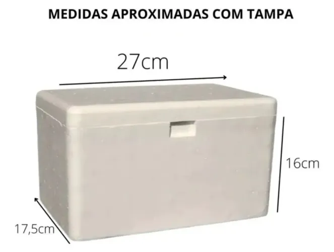Caixa térmica isoterm 5L