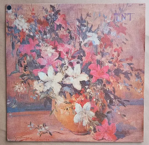 LP TNT - Disco de Vinil
