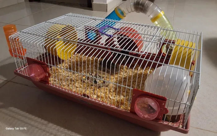 Gaiola grande para hamster com 3 rodinhas bebedouro, casinha, comedouro e 5 HAMSTERS!!!!!