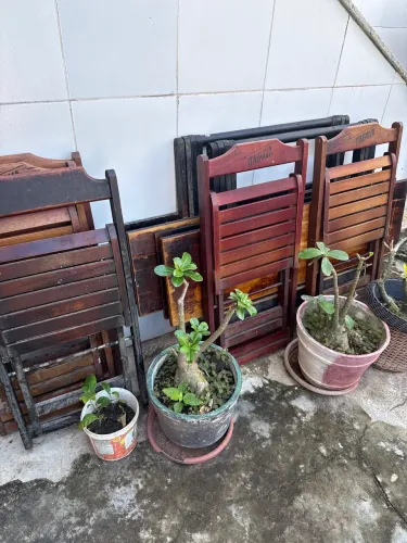 Jogo de mesa para restaurante/bar