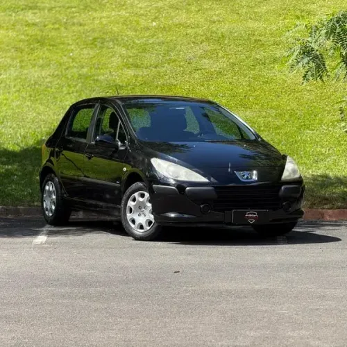 Peugeot 307 Soleil/ Presence 1.6/1.6 Flex 16V 5P 2009