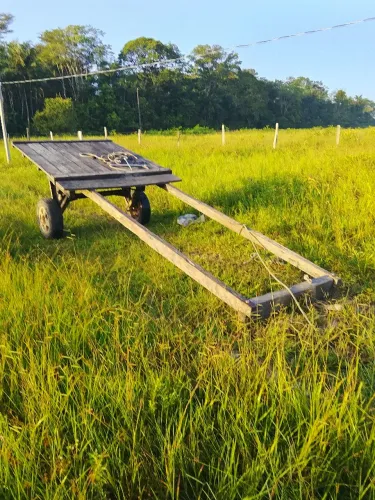 Búfalo com carroça valor 8 mil