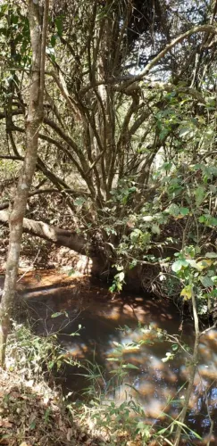 Terreno rural em mateus leme 
