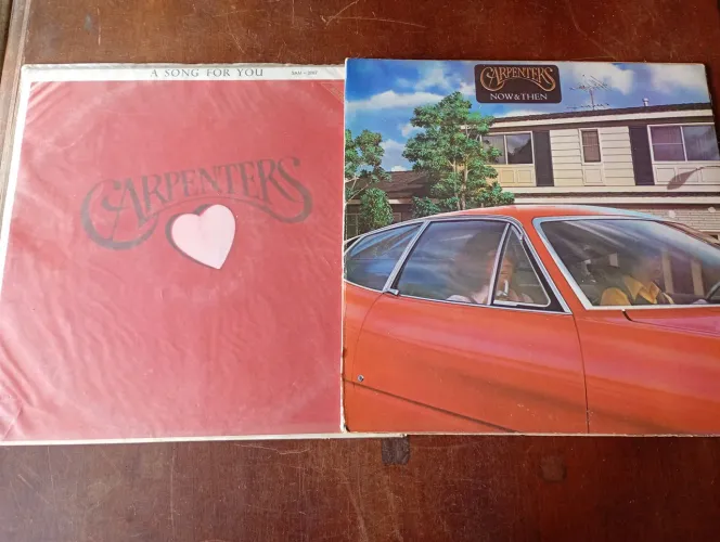 Discos de vinil Carpenters 6 clássico