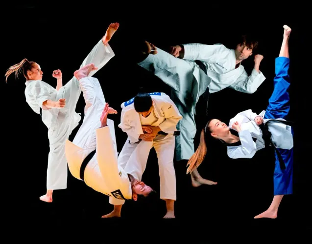 Luta artes marciais mistas defesa pessoal