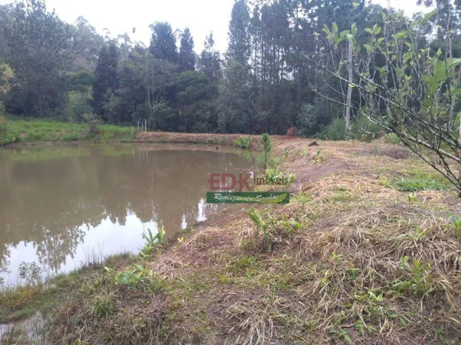 Sítio com 3 dormitórios à venda, 84000 m² por R$ 1.100.000,00 - Centro - Salesópolis/SP