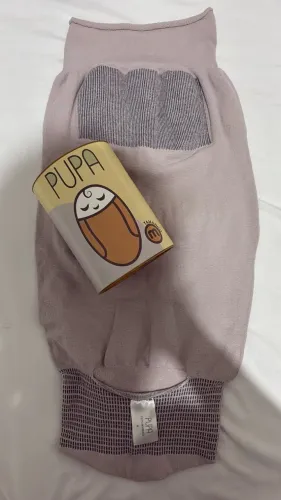 Pupa
