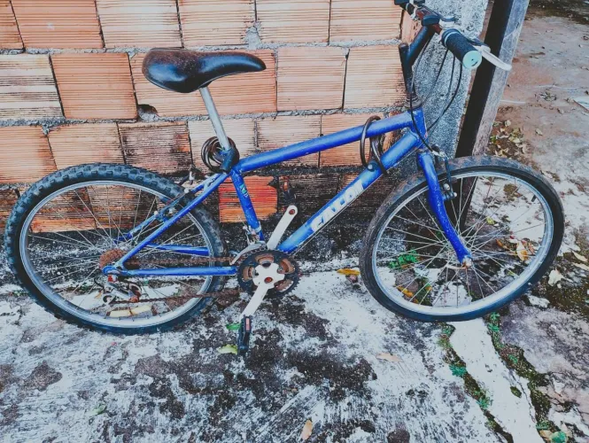 Bicicleta CALOI ARO 24
