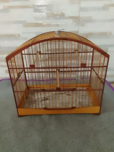 Gaiola de coleiro  com capa  