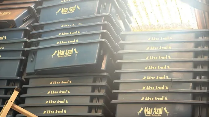 Caixa plásticas para Pescados