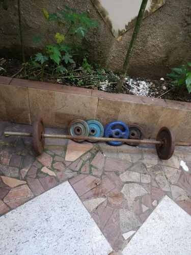Musculação